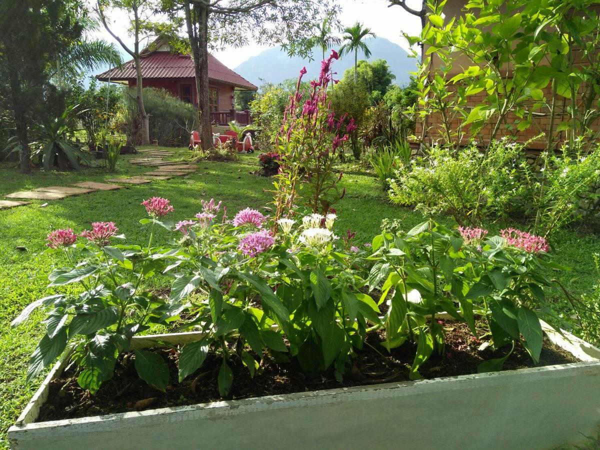 Maesai Doi View Villa Ban Dong Ma Tun Exteriör bild